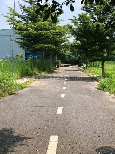 🌟 Bán Đất Ấp 10, xã Trảng Bom, Đồng Nai - Giá Chỉ 900 Triệu
