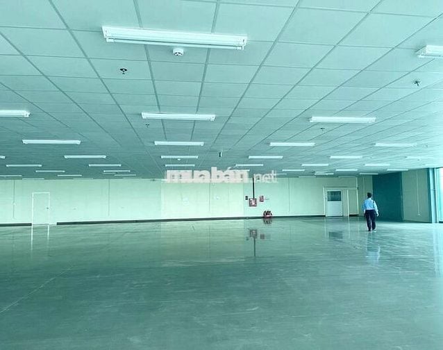 CHO THUÊ KHO, NHÀ XƯỞNG 300M2 ĐẾN 2800M2 TẠI LIÊN CHIỂU, GIÁ TỪ 46K