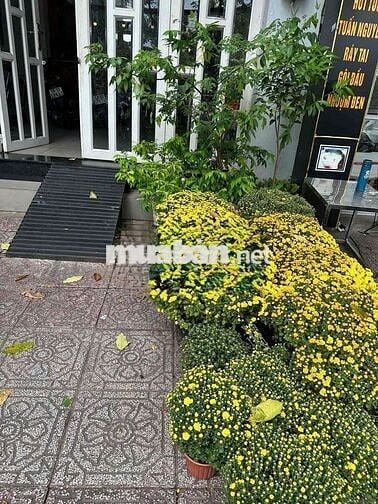 🥰🥰MẶT TIỀN TRƯỜNG SA TRỆT 3 LẦU 3PN-4WC gần CẦU THỊ NGHÈ