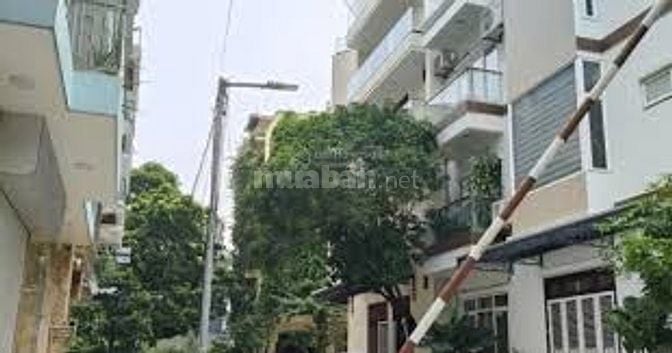 Bán 706m2 đất khu phố phú gia, phú xá, phú thượng, tây hồ, giá 65tỷ