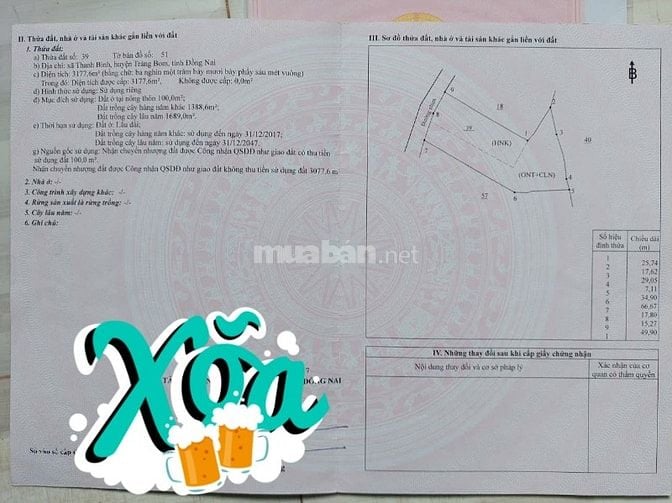 Chính chủ Bán nhà đất Đường U1 Tân Thanh, Thanh Bình, Trảng Bom, ĐN