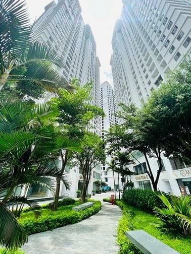 Chính chủ bán căn hộ chung cư dự án Tecco Thái Nguyên 