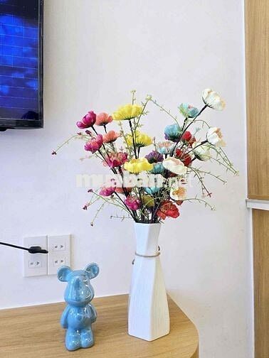 Nhà đẹp kiệt tôn đản - tặng kèm 2 phòng trọ. vào ở ngay đc 😍