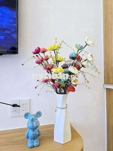 SIÊU PHẨM NHÀ ĐẸP KIỆT OTO TẬN NƠI TRƯỜNG SƠN ĐÀ NẴNG. 100M, 2TY690