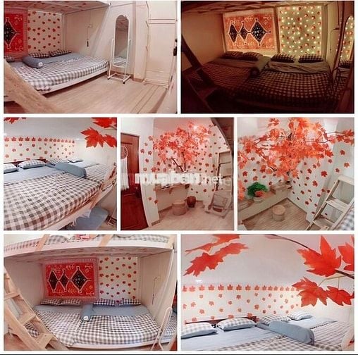 🌟Nhà Đẹp Rộng– Hẻm 6m– Hoàng Hoa Thám – Đà Lạt  – 5.9 Tỷ