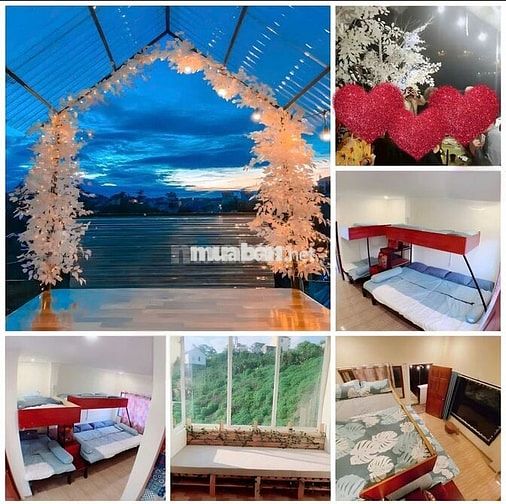 🌟Nhà Đẹp Rộng– Hẻm 6m– Hoàng Hoa Thám – Đà Lạt  – 5.9 Tỷ