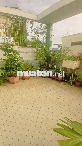 🔥 BÁN GẤP NHÀ BÔNG SAO, P.5, Q.8 - HẺM XE HƠI, NGANG LỚN 4.8M - GIÁ