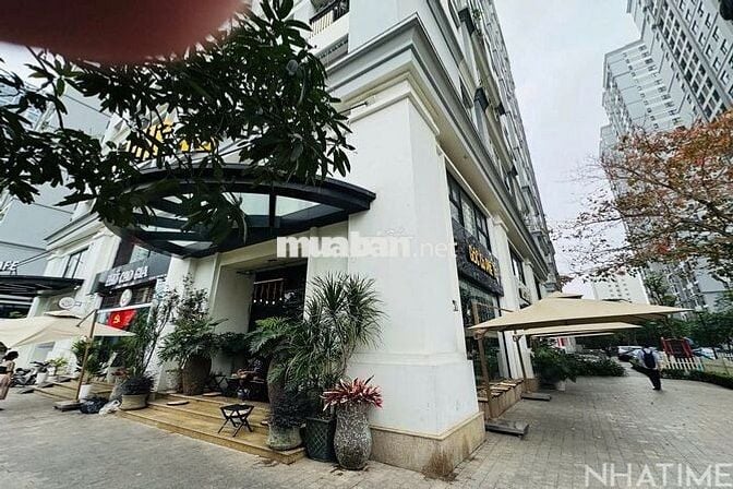 Cần cho thuê 1 trong 2 căn shophouse dự án Timescity siêu VIP: