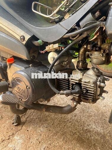 egalat 50cc biển xém đẹp