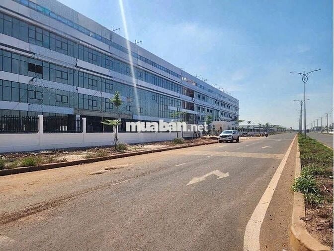cần tiền bán gấp miếng đất sát đường  200m2 có sẵn thổ giá 300tr