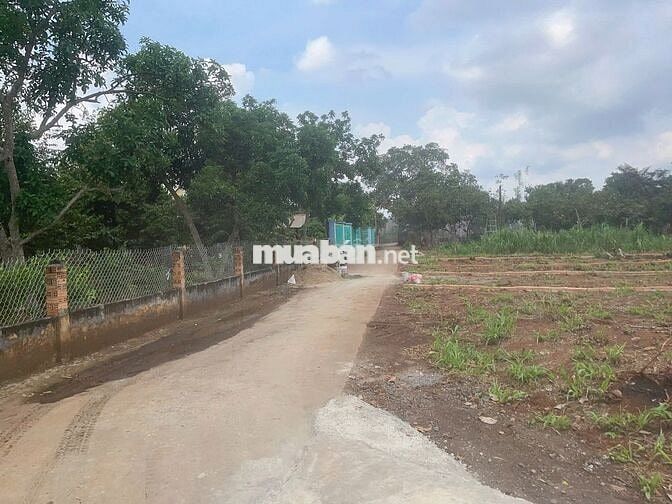 ĐẤT THỔ CƯ SỔ RIÊNG DIỆN TÍCH 5X33 GIÁ 730 TRIỆU GẦN NÚI CHỨA CHAN