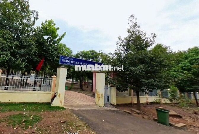 cần tiền bán gấp miếng đất sát đường  200m2 có sẵn thổ giá 300tr