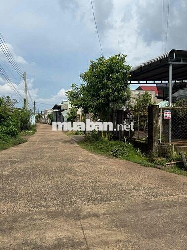 Kẹt tiền gấp bán 150m2 tcsr gần núi Chứa Chan Xuân Lộc, Đồng Nai