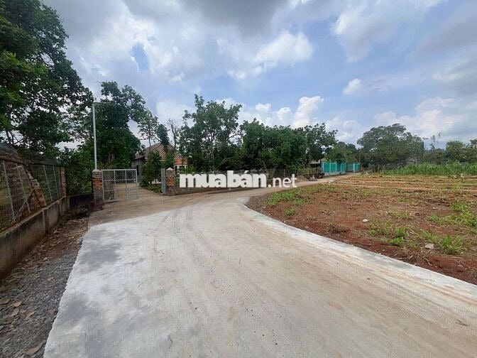 ĐẤT THỔ CƯ SỔ RIÊNG DIỆN TÍCH 5X33 GIÁ 730 TRIỆU GẦN NÚI CHỨA CHAN