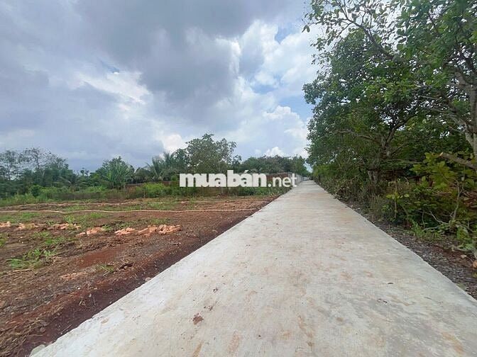 ĐẤT THỔ CƯ SỔ RIÊNG DIỆN TÍCH 5X33 GIÁ 730 TRIỆU GẦN NÚI CHỨA CHAN