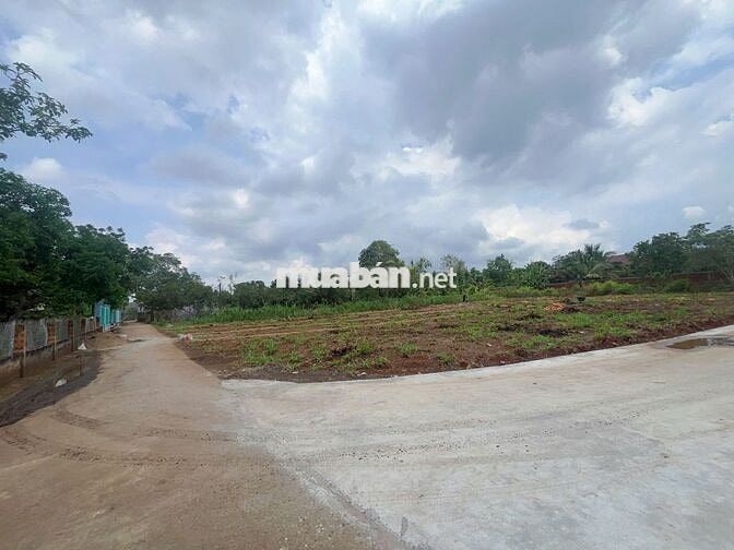 ĐẤT THỔ CƯ SỔ RIÊNG DIỆN TÍCH 5X33 GIÁ 730 TRIỆU GẦN NÚI CHỨA CHAN