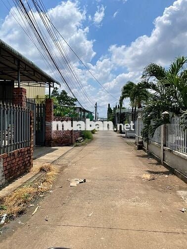 Đất sổ riêng thổ cư 6x25 giá 640 triệu gần Cao Tốc Dầu Giây Phan Thiết