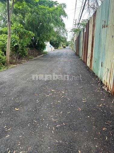 Cho thuê gấp 2000m2 đất mặt tiền sát Võ Trần Chí. 
