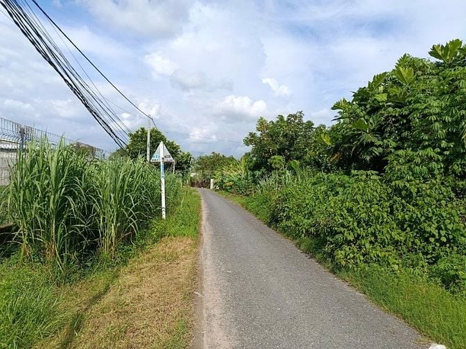 6x48 full thổ cư. Đất phường Gò Dầu Tây Ninh. 580tr