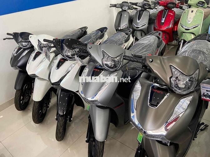 xe vision 50cc