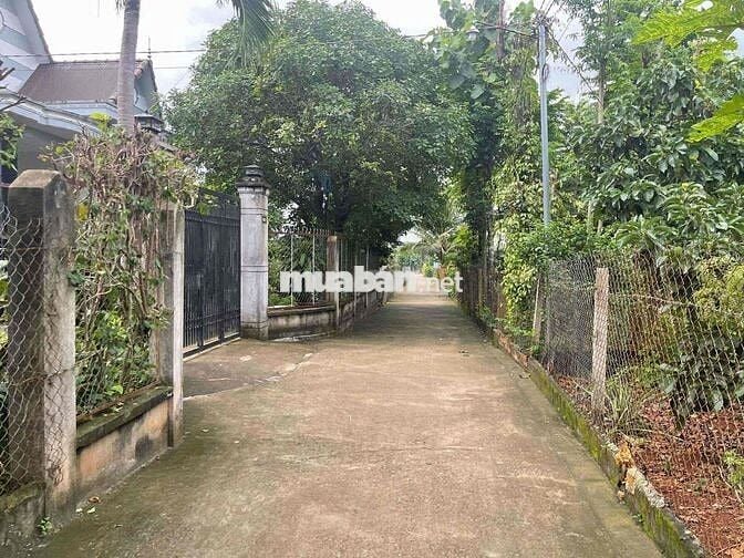 Bán 1788m2 đất hồng có sẵn 300m thổ. View núi Chứa Chan,Xuân Lộc,Đ Nai
