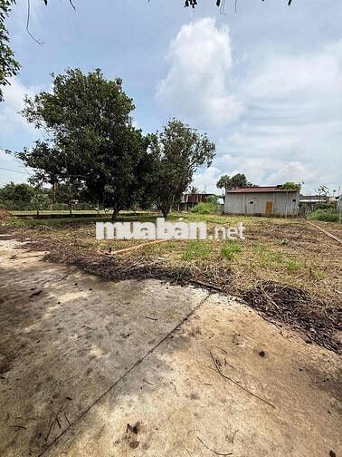 Bán 300m2 đất thổ cư sổ riêng 12x25.Núi Chứa Chan Xuân Lộc Đồng Nai