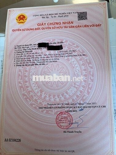 LÔ 296M2 ĐẸP SỪNG SỮNG NGAY TRUNG TÂM THỊ TRẤN CỦ CHI, GIÁ 1TY1, SHR