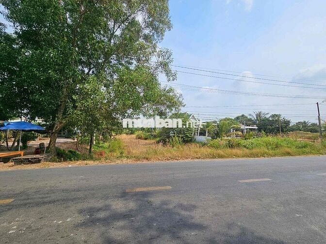 Thanh lý 1071m2 full thổ cư mặt tiền QL62 giá tốt