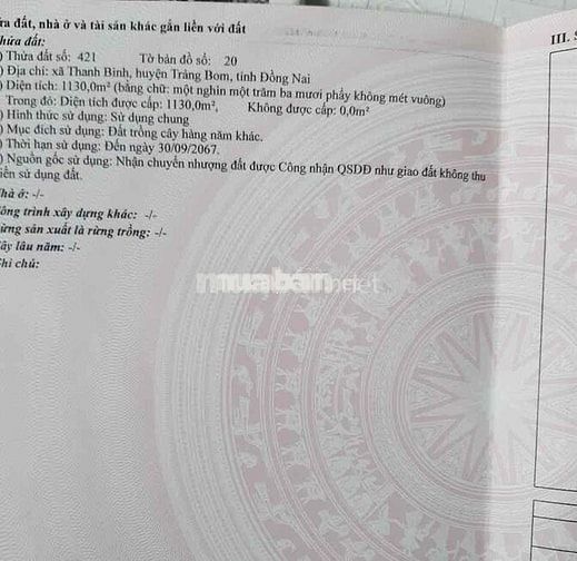 Đất trông cây Thanh Bình, Trảng Bom, Đồng Nai