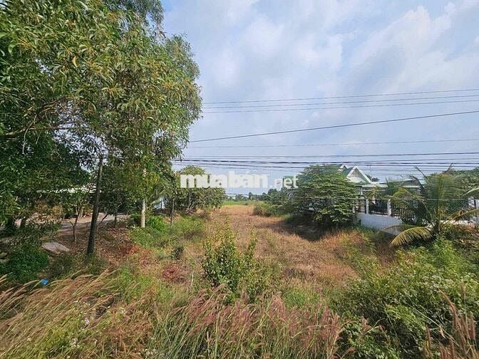 Thanh lý 1071m2 full thổ cư mặt tiền QL62 giá tốt