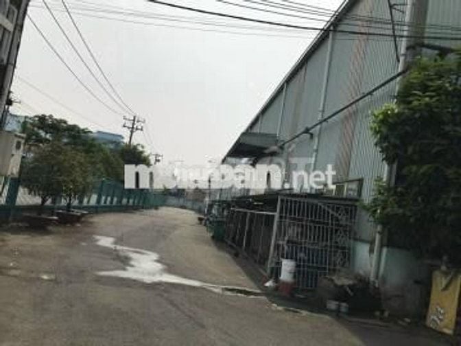 Cho thuê nhà xưởng 1.2ha sát KCN VSIP 2 xã Khánh Bình, Tân Uyên