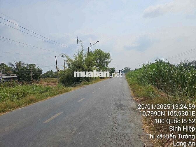 Thanh lý 1071m2 full thổ cư mặt tiền QL62 giá tốt