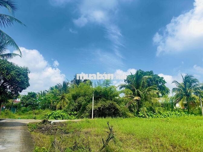 ✅Cần bán 852m2 ( 14* 62 ) FULL THỔ hẻm 95 Hoàng Anh, Tân Khánh,Long An