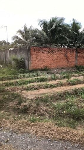 Chính chủ bán đất 2 MT đường Hồ Thị Gừng, Củ Chi