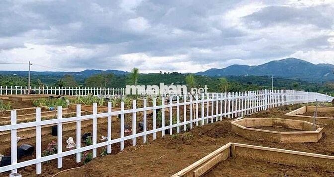 Ngộp vốn cần bán gấp lỗ lại 400m2 view đồi tặng vườn tiểu cảnh 590tr