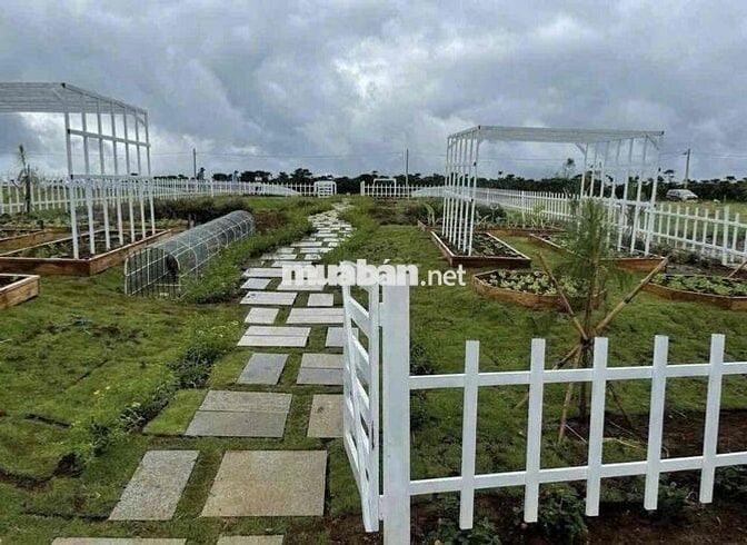Ngộp vốn cần bán gấp lỗ lại 400m2 view đồi tặng vườn tiểu cảnh 590tr