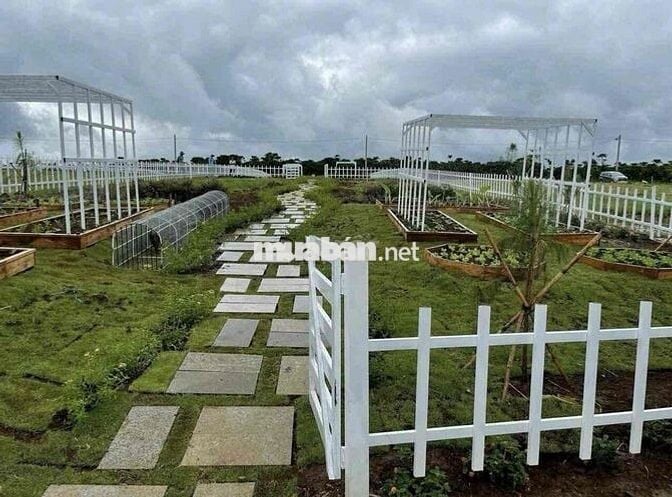 Ngộp vốn cần bán gấp lỗ lại 400m2 view đồi tặng vườn tiểu cảnh 590tr