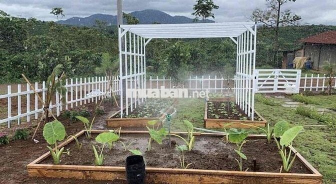 Ngộp vốn cần bán gấp lỗ lại 400m2 view đồi tặng vườn tiểu cảnh 590tr