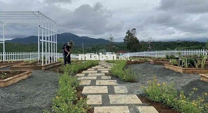 Ngộp vốn cần bán gấp lỗ lại 400m2 view đồi tặng vườn tiểu cảnh 590tr