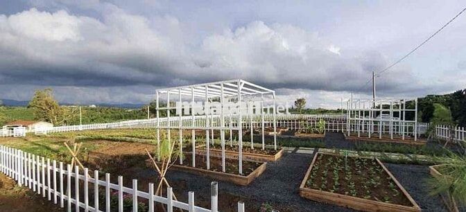 Ngộp vốn cần bán gấp lỗ lại 400m2 view đồi tặng vườn tiểu cảnh 590tr