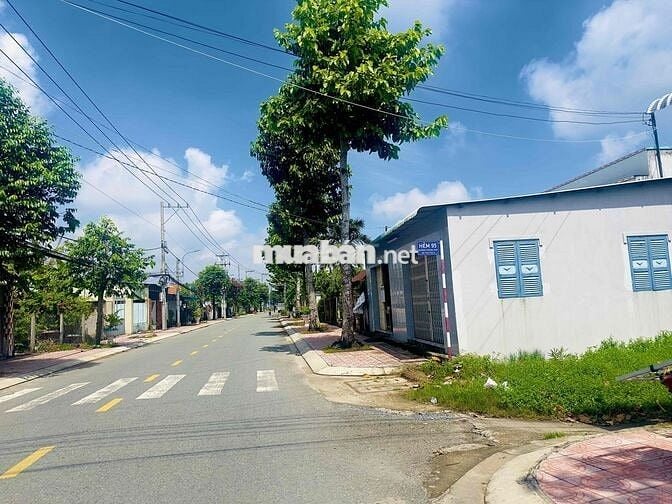 ✅Cần bán 852m2 ( 14* 62 ) FULL THỔ hẻm 95 Hoàng Anh, Tân Khánh,Long An