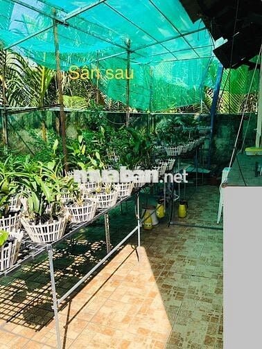 Bán NR 126/15/8/3 Nguyễn Văn Tạo - Long Thới - Nhà Bè