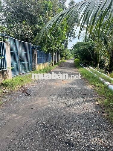 Bán đất sổ hồng riêng ở Bình Mỹ Củ Chi