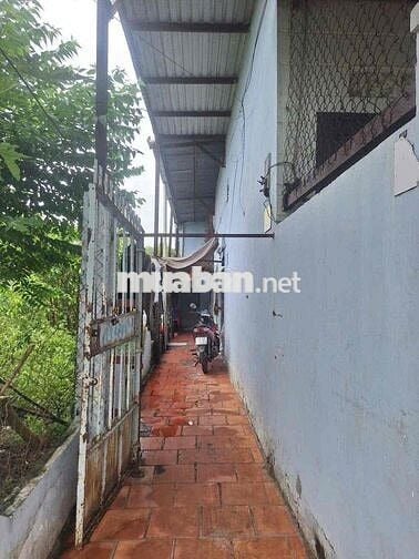 Bán nhà trọ TÂN PHÚ TRUNG, CỦ CHI DT 5 X 20 full thỗ,  đường nhựa 64
