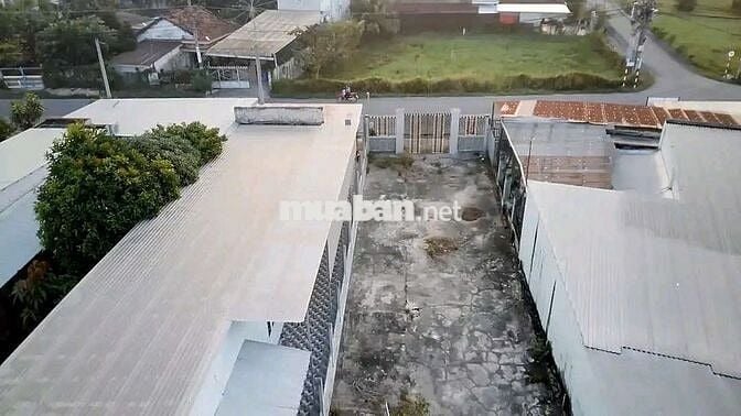 🔥ANH KIÊN BÁN GẤP LÔ 226M² BAO ĐẸP 1TỶ5 Ở PHƯỚC HIỆP CŨ🔥❗