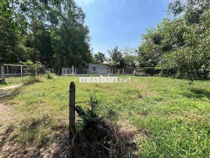 BÁN LÔ ĐẤT FULL THỔ CƯ -XÂY DỰNG TỰ DO -SỔ HỒNG RIÊNG