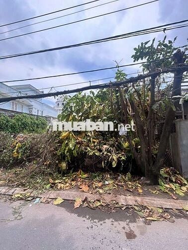 Bán Đất Mặt Tiền Thạnh Lộc 29 phường TL-Q12-dt 120m2(5×24m2)giá 6,5 tỷ