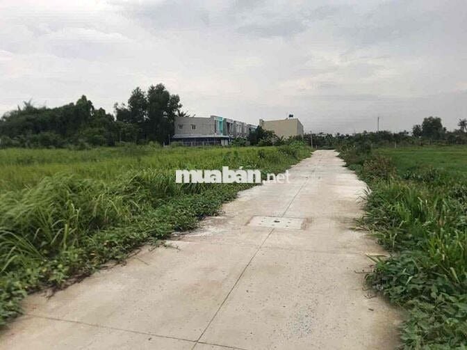 ĐẤT NÊN FULL THỔ CƯ KHU DÂN CƯ HIỆN HƯU CHỈ 850 TRIỆU