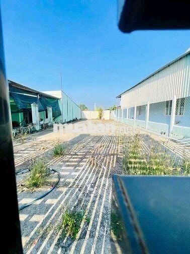 🔥ANH KIÊN BÁN GẤP LÔ 226M² BAO ĐẸP 1TỶ5 Ở PHƯỚC HIỆP CŨ🔥❗