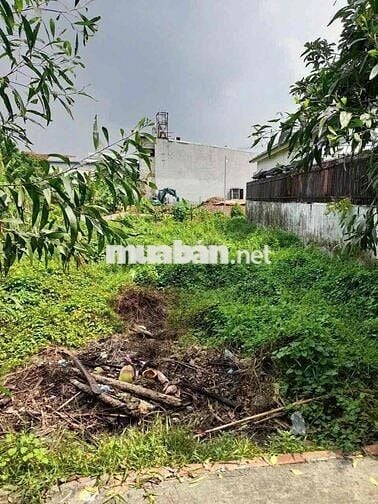 ĐẤT NÊN FULL THỔ CƯ KHU DÂN CƯ HIỆN HƯU CHỈ 850 TRIỆU